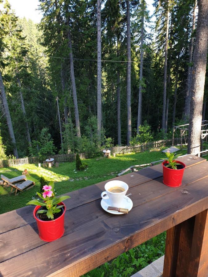 Green Life Family Apartments Пампорово Экстерьер фото